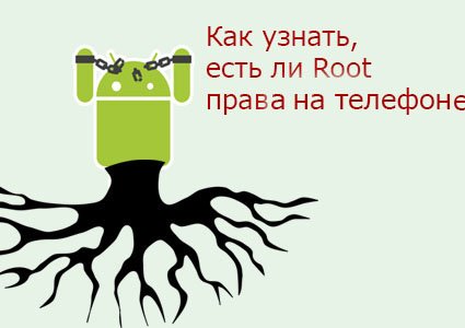 есть ли root