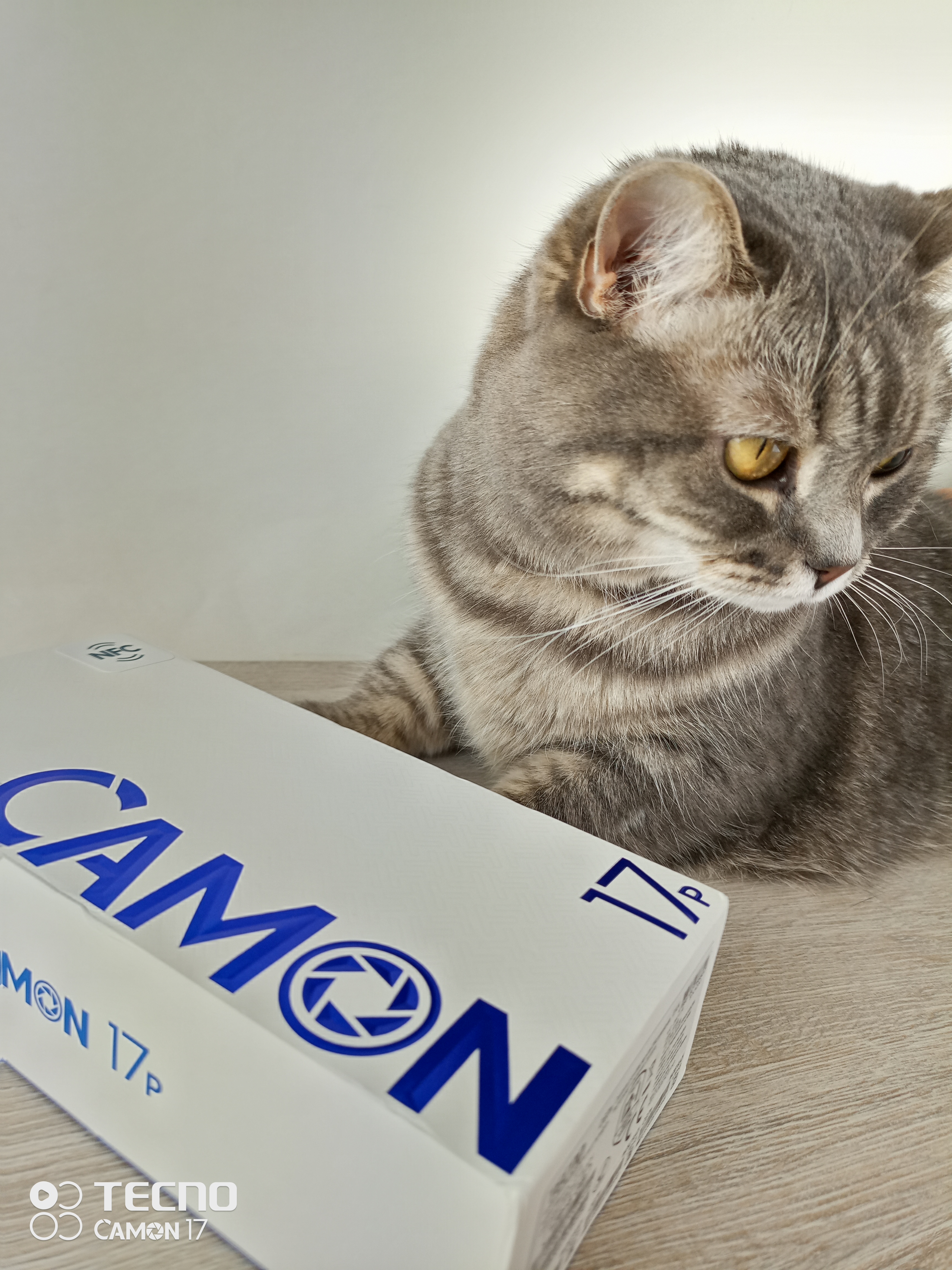 Tecno Camon 17P Review - Xiaomi, Move over! ⋆ 14